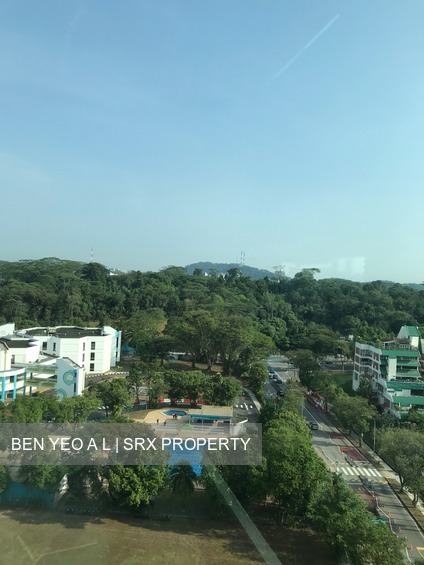 Astor Green (D21), Condominium #199711802